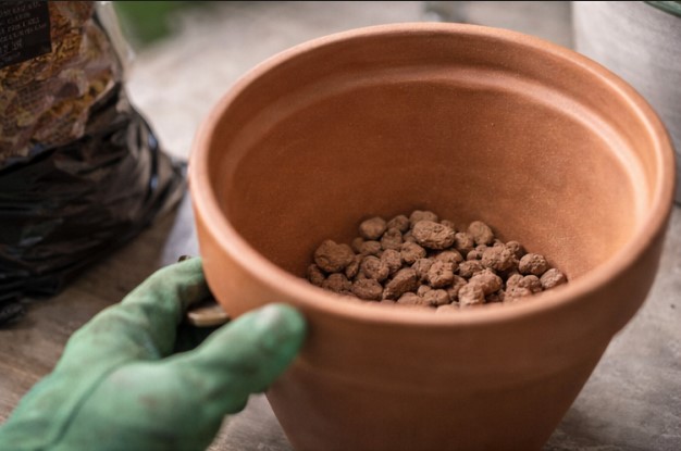 Placing a houseplant in a new pot with fresh soil and proper drainage